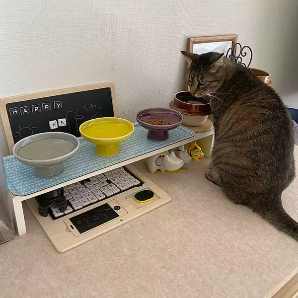 「こんなにいろいろあったんだ！驚きもいっぱいのコの字ラック活用アイデア」の画像