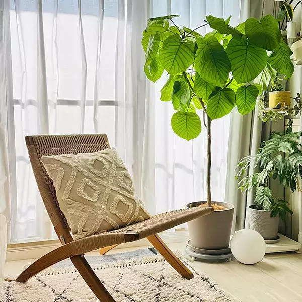 「気分に合わせて気軽にチェンジ♪コーディネートの幅を広げてくれるデザイン豊富なIKEAのクッションカバー」の画像