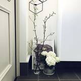 「テーマを持って飾りたい！目を引く玄関付近のディスプレイ」の画像8