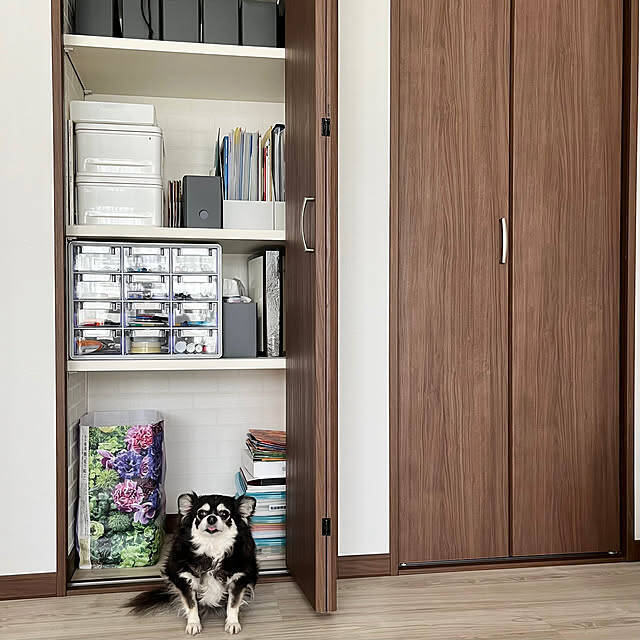 もう慌てない！突然の来客があっても大丈夫なお家づくりの工夫6選