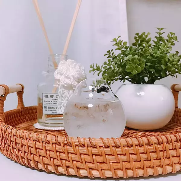 「いつもの暮らしに小さなワクワクを♡フェリシモで見つけたインテリアアイテム6選」の画像