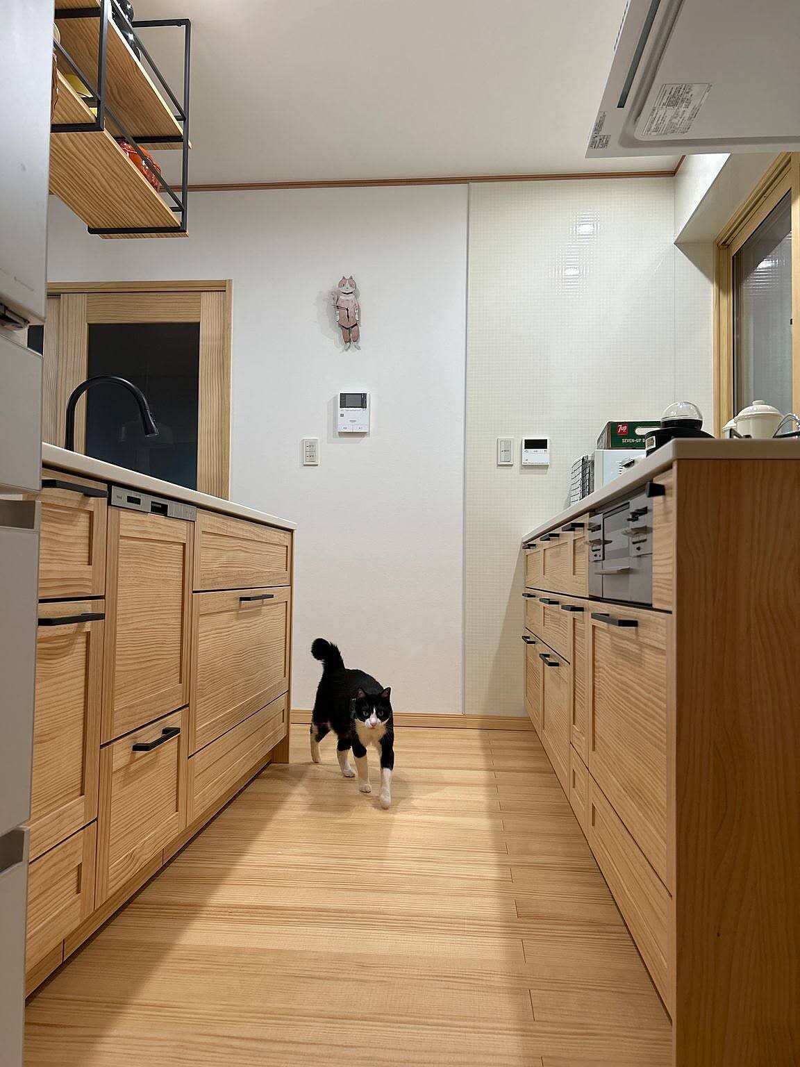 「好きと幸せが詰まった、明るいナチュラルなカフェ風キッチン」 by haruさん