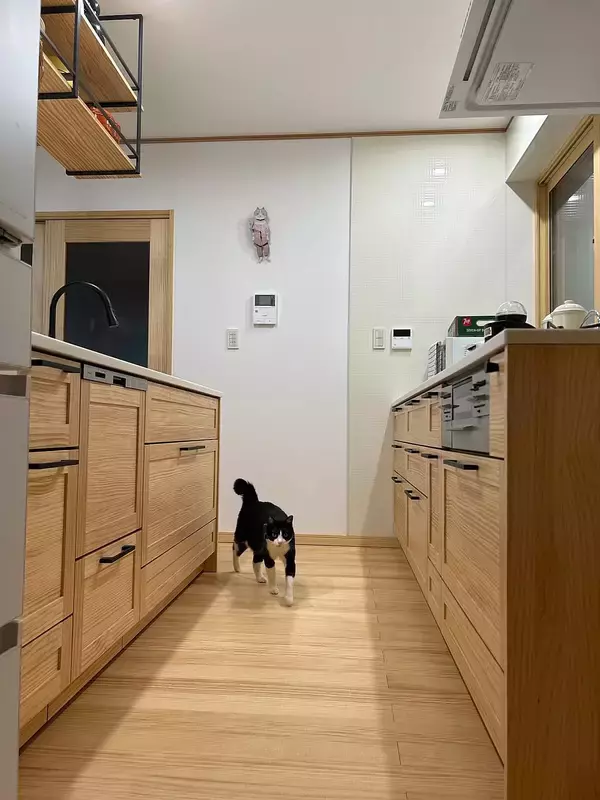 「「好きと幸せが詰まった、明るいナチュラルなカフェ風キッチン」 by haruさん」の画像