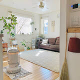 「お手ごろ価格で極上のリラックスタイムを実現☆お部屋にあわせて選べるニトリのラグ6選」の画像2