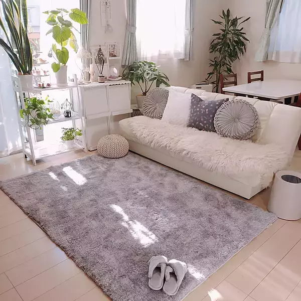 「お手ごろ価格で極上のリラックスタイムを実現☆お部屋にあわせて選べるニトリのラグ6選」の画像