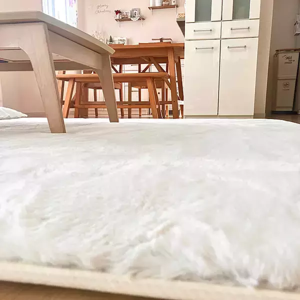 「お手ごろ価格で極上のリラックスタイムを実現☆お部屋にあわせて選べるニトリのラグ6選」の画像