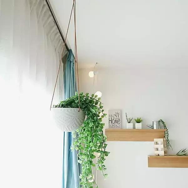 「本物そっくりで種類も豊富！お値段以上なニトリのフェイクグリーン」の画像