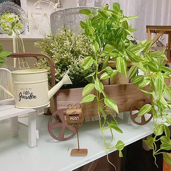 「本物そっくりで種類も豊富！お値段以上なニトリのフェイクグリーン」の画像