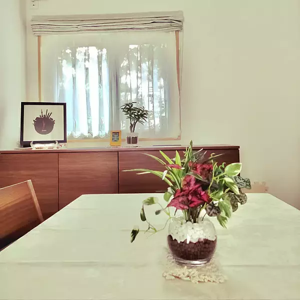 「本物そっくりで種類も豊富！お値段以上なニトリのフェイクグリーン」の画像