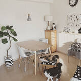 「本物そっくりで種類も豊富！お値段以上なニトリのフェイクグリーン」の画像7