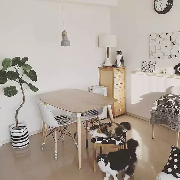 「本物そっくりで種類も豊富！お値段以上なニトリのフェイクグリーン」の画像