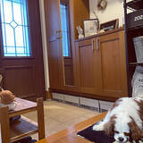 「お家の気になるあの場所がスッキリ片付く！整った収納を目指すならセリアのPlenty Boxがおすすめ」の画像7