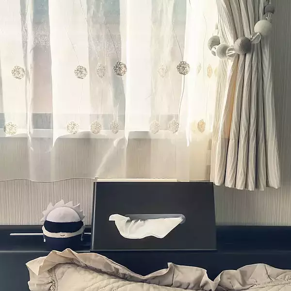 「置くだけでお部屋の雰囲気がアップする！使いやすさも兼ね備えたニトリのおすすめティッシュケース」の画像