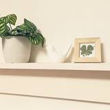 「プチプラでも高見え！100均フォトフレームを使ったインテリアの実例6選」の画像2