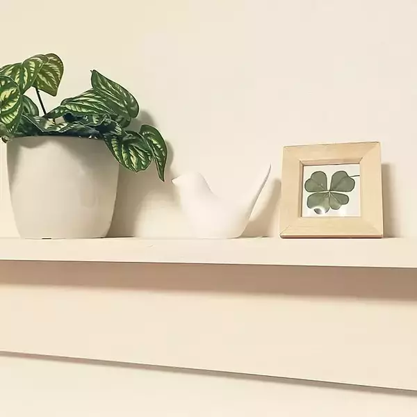 「プチプラでも高見え！100均フォトフレームを使ったインテリアの実例6選」の画像