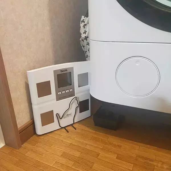 「スマートに収納して健康的な身体を目指す！見た目もばっちりな体重計の置き方集」の画像