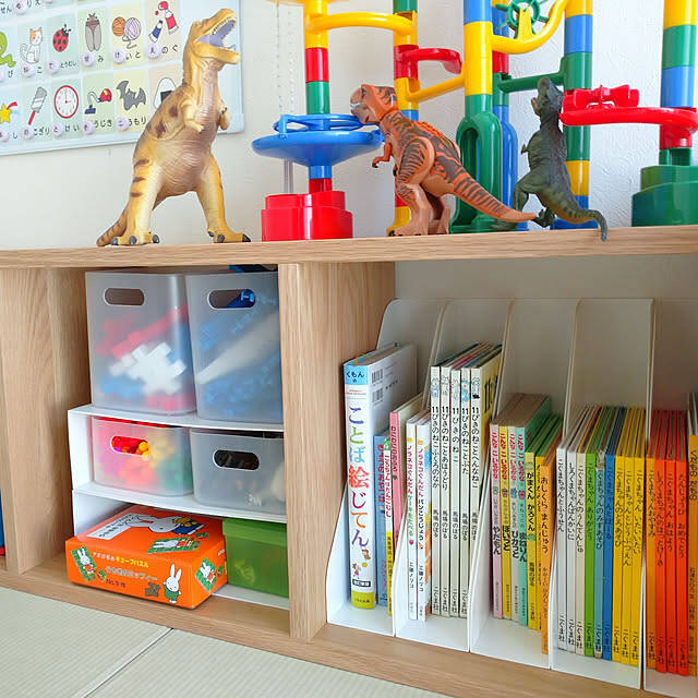 お家じゅうが片づく！100均のファイルケースを活用した分かりやすく使いやすい収納アイデア6選