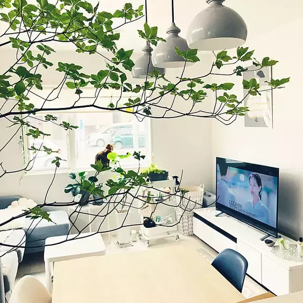 「朝を特別な時間に♡自分のために楽しむ朝活のアイデア10選」の画像