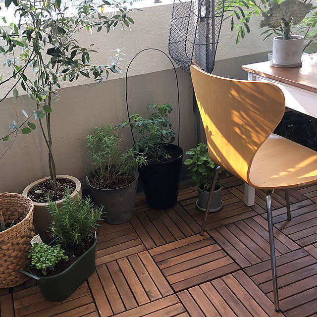 毎日の成長が楽しみ♡収穫もお花も、ベランダで手軽に楽しむアイデア集