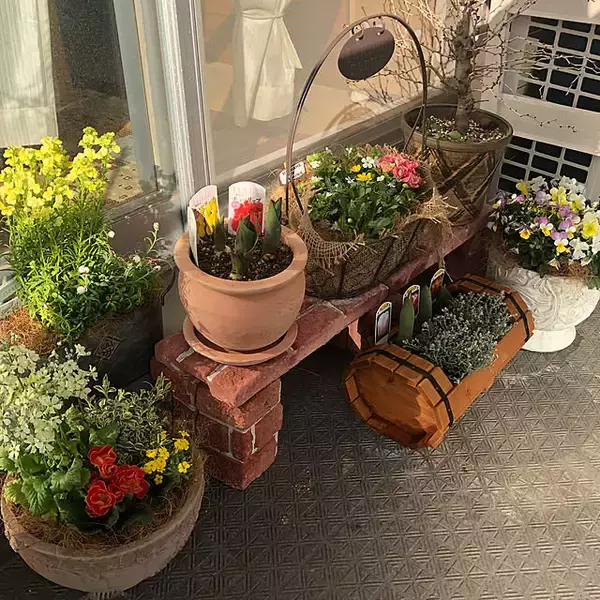 「毎日の成長が楽しみ♡収穫もお花も、ベランダで手軽に楽しむアイデア集」の画像