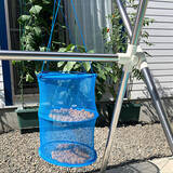 「自然の恵みとはぐくむ豊かな時間。季節を楽しむ「梅仕事」のススメ」の画像10