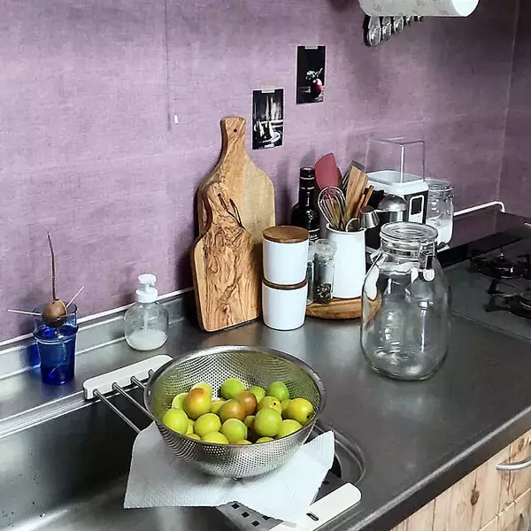 「自然の恵みとはぐくむ豊かな時間。季節を楽しむ「梅仕事」のススメ」の画像