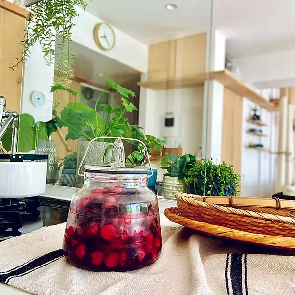 「自然の恵みとはぐくむ豊かな時間。季節を楽しむ「梅仕事」のススメ」の画像