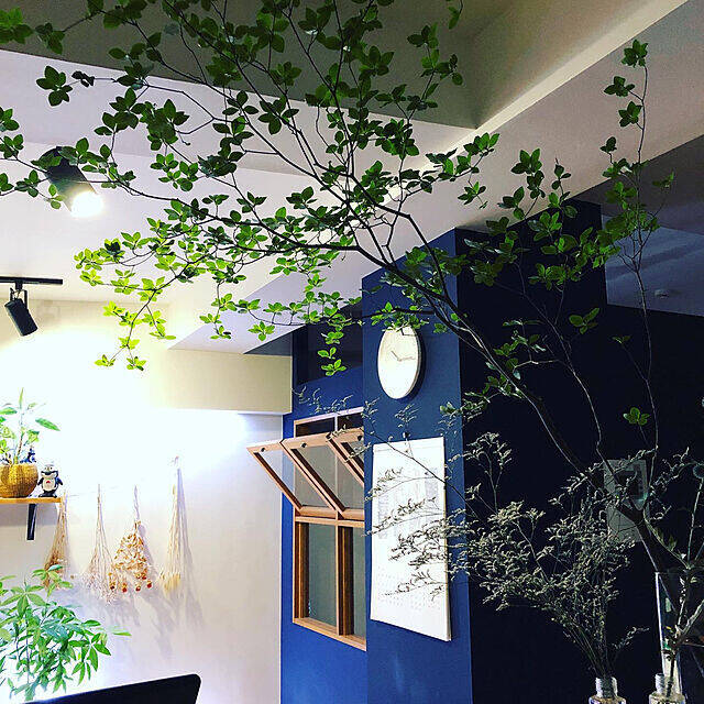 マンションリノベで憧れの住まいに♪気になる家づくり情報10の実例