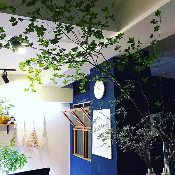 「マンションリノベで憧れの住まいに♪気になる家づくり情報10の実例」の画像