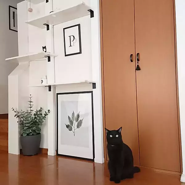 「気軽に緑を取り入れられる♪IKEAのフェイクグリーンがあるお部屋」の画像