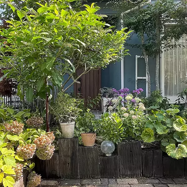 【今週の〇〇】テーマは「植物のある暮らし」！最新の投稿写真をピックアップ
