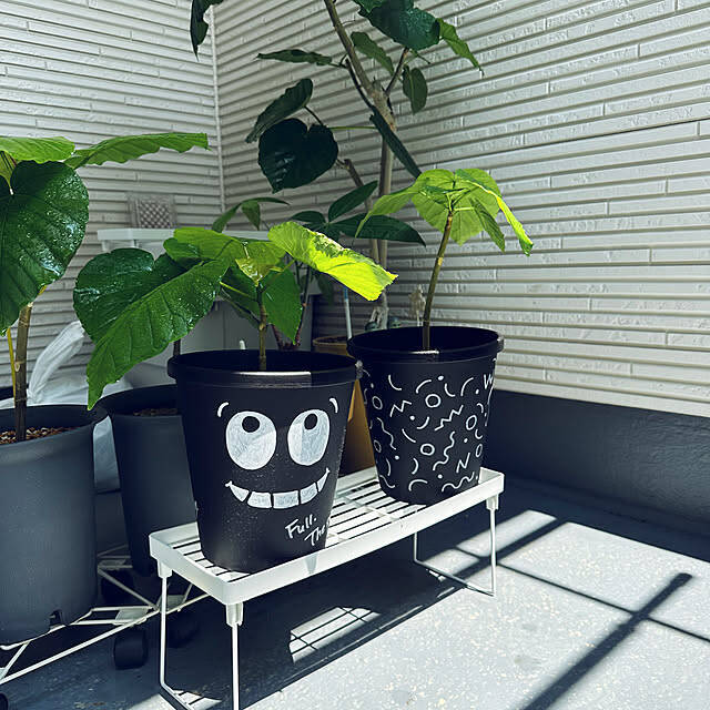 【今週の〇〇】テーマは「植物のある暮らし」！最新の投稿写真をピックアップ