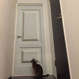 「ドアで個性を出す！お部屋の入り口に華を添えるDIY12選」の画像5