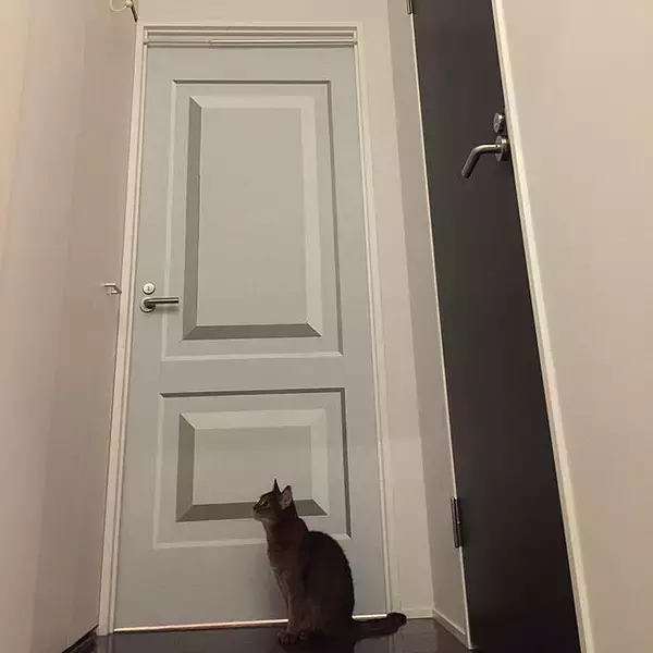 「ドアで個性を出す！お部屋の入り口に華を添えるDIY12選」の画像