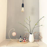 「レトロ感がたまらない♪明かりがインテリアになるエジソン電球」の画像2