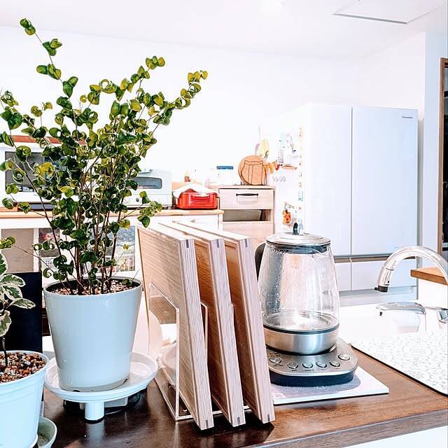 省スペースで使いたいときにサッと手に取れる！トレーの収納アイデア6選