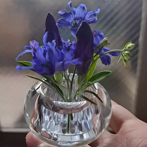 「季節の花をみずみずしく引き立てる。花との暮らしが楽しくなる花瓶・フラワーベース」の画像