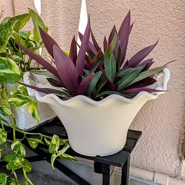 「ササッと塗るだけでアンティークな風合いに。ダイソーのミルクペイントでDIYにチャレンジ」の画像