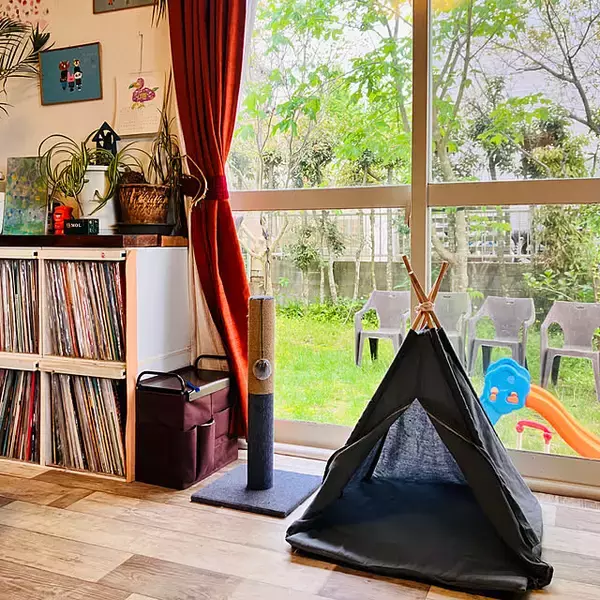 「【みんなが選んだ！】愛猫との暮らしがもっと楽しくなる♪「Standard Productsの猫グッズ」5選」の画像