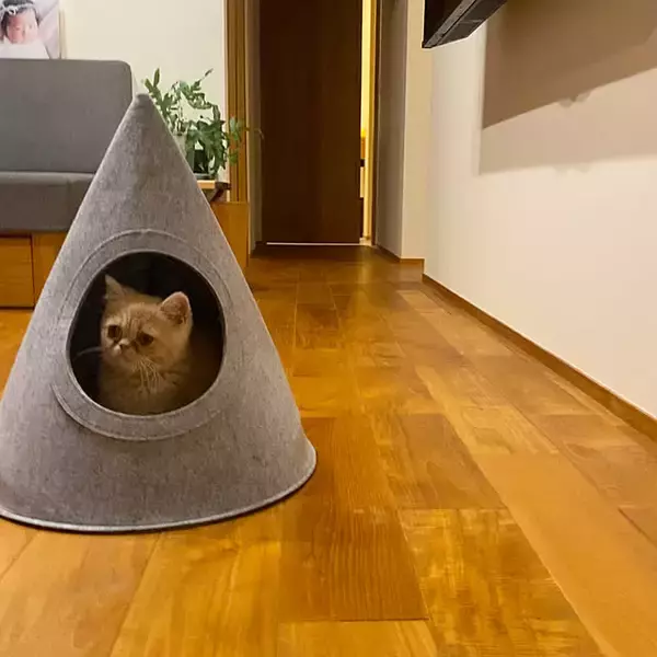 「【みんなが選んだ！】愛猫との暮らしがもっと楽しくなる♪「Standard Productsの猫グッズ」5選」の画像