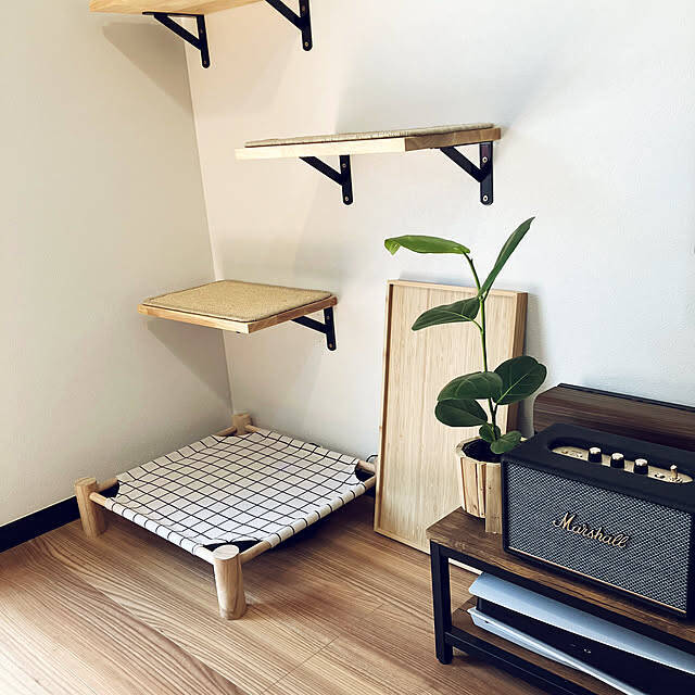 【みんなが選んだ！】愛猫との暮らしがもっと楽しくなる♪「Standard Productsの猫グッズ」5選