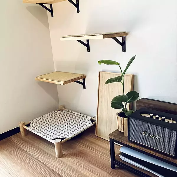 「【みんなが選んだ！】愛猫との暮らしがもっと楽しくなる♪「Standard Productsの猫グッズ」5選」の画像