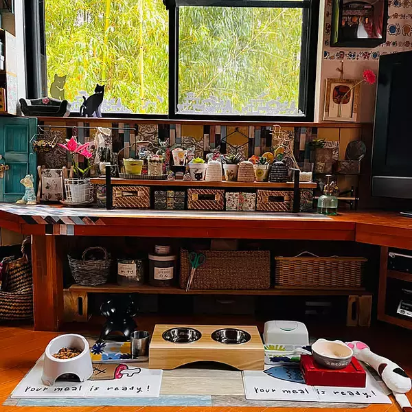 「【みんなが選んだ！】愛猫との暮らしがもっと楽しくなる♪「Standard Productsの猫グッズ」5選」の画像