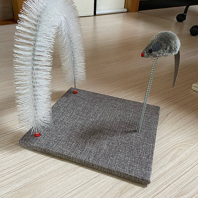 【みんなが選んだ！】愛猫との暮らしがもっと楽しくなる♪「Standard Productsの猫グッズ」5選