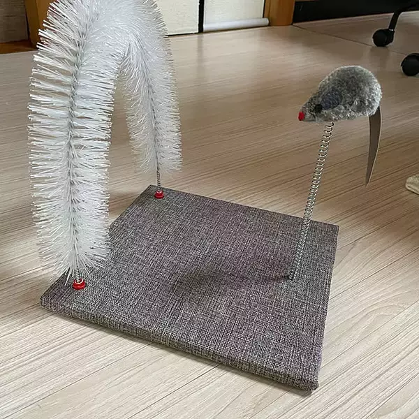 「【みんなが選んだ！】愛猫との暮らしがもっと楽しくなる♪「Standard Productsの猫グッズ」5選」の画像