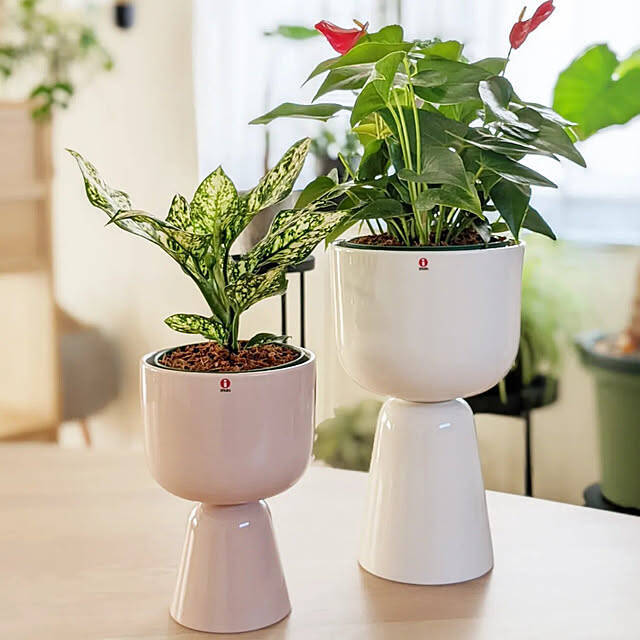 北欧らしいガラスの魅力を味わう。インテリアにおすすめなイッタラの商品6選