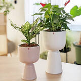 「北欧らしいガラスの魅力を味わう。インテリアにおすすめなイッタラの商品6選」の画像5