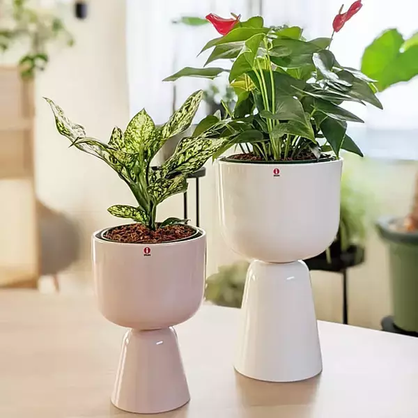 「北欧らしいガラスの魅力を味わう。インテリアにおすすめなイッタラの商品6選」の画像