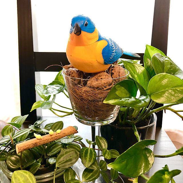 ときめく空間づくりに取り入れたい♡お部屋を彩るFrancfrancのアイテム