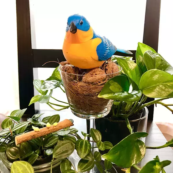 「ときめく空間づくりに取り入れたい♡お部屋を彩るFrancfrancのアイテム」の画像